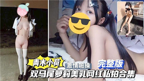 青木小荷双马尾萝莉美乳私拍全收录，网红极致诱惑合集